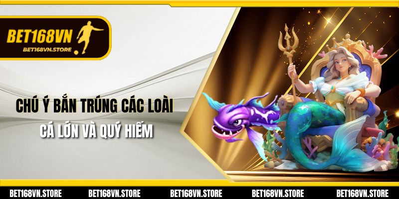 Chú ý bắn trúng các loài cá lớn và quý hiếm